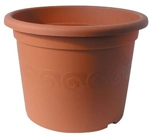 Obal Narcis - terakota 19 cm