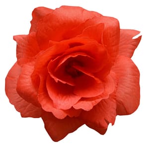 Růže látková červená