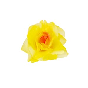 Růže látková žlutá