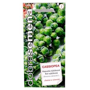 Dobrá semena Kapusta růžičková - Cassiopea 0,7g