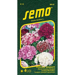 Hvozdík bradatý - směs 0,5g