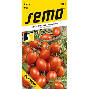 Rajče Blumko - tyč. 30s