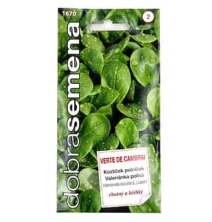 Dobrá semena Kozlíček polníček - Verte de Cambrai 2g