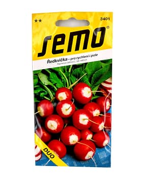 Ředkvička čb - Duo rychl,pole VIII