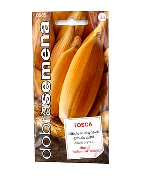 Dobrá semena Cibule jarní - Tosca žlutá 1g