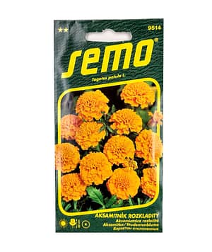 Aksamitník rozkladitý - Petit oranžový 1g