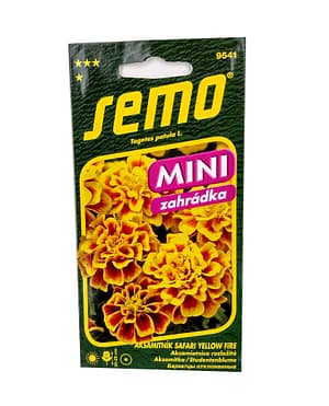 Aksamitník rozkladitý - Safari Yellow Fire 30s - série MINI