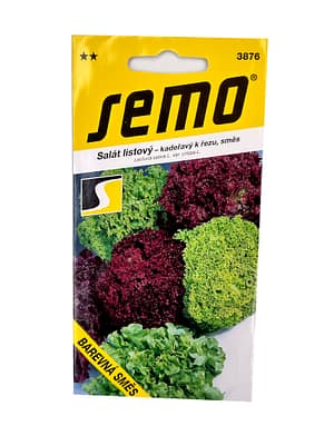 Salát kadeřavý k řezu - Barevná směs