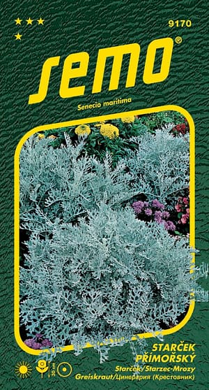 Starček - Silverdust 0,3g