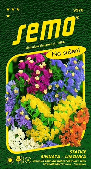 Limonka Statice sinuata - směs 0,5g