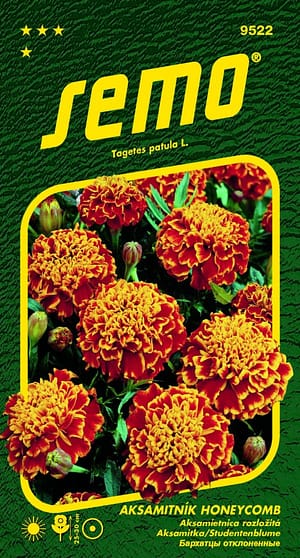 Aksamitník rozkladitý - Honeycomb 30s