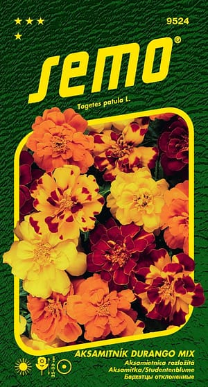 Aksamitník rozkladitý - Durango Mix 30s