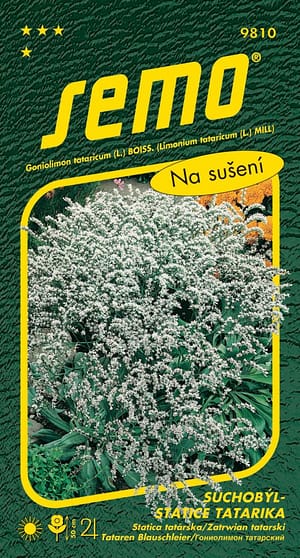 Suchobýl tatarský - Statice tatarika bílý 0,2g