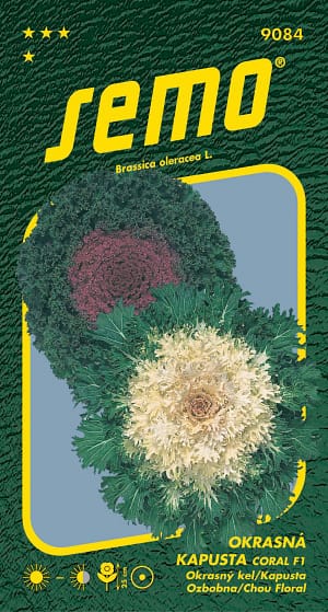 Kapusta okrasná - Coral F1 mix 20s