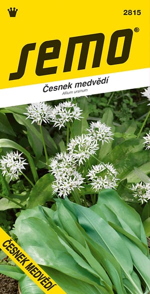 Česnek medvědí 1g