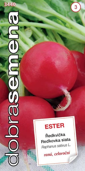 Dobrá semena Ředkvička červ. - Ester raná 3g