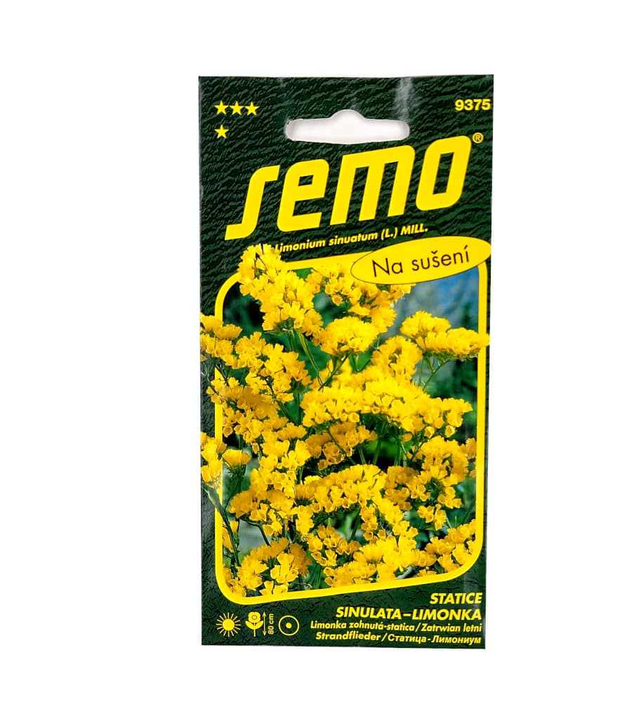 Limonka Statice sinuata - Yellow žlutá 0,5g