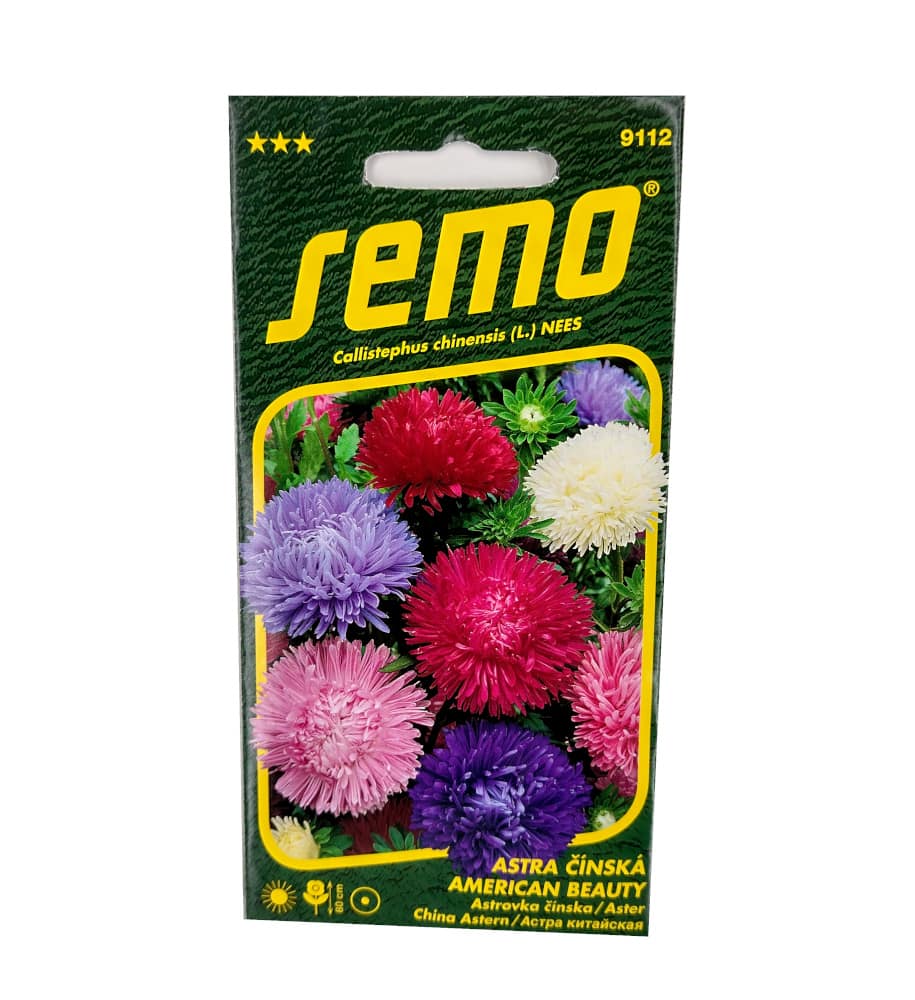 Astra čínská - American beauty směs 0,5g