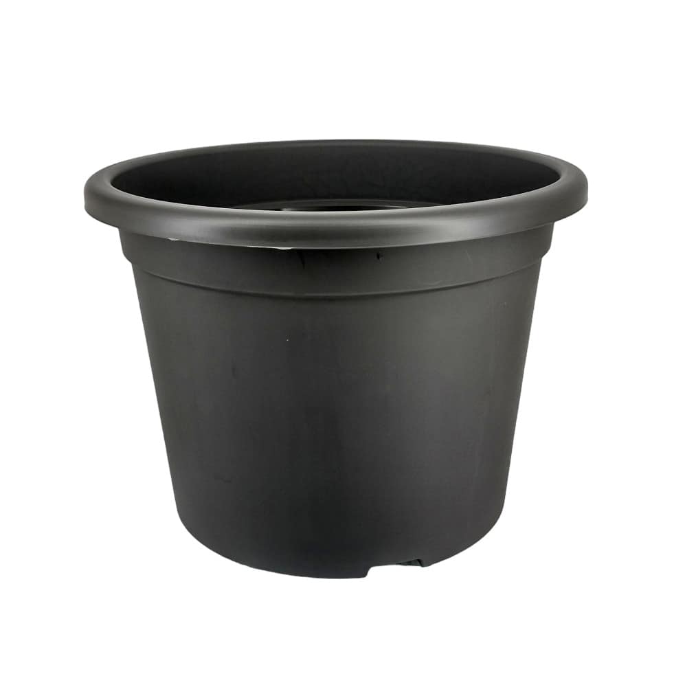 Obal Narcis - antracit 35 cm